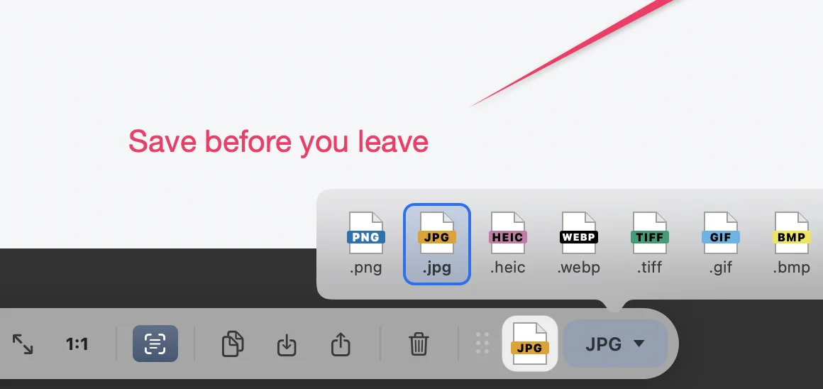 文件图标上方展开的格式选择器：PNG、JPG、HEIC、WebP、TIFF、GIF 和 BMP，已选中 JPG